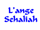 Voyant(e) L'ange Sehaliah